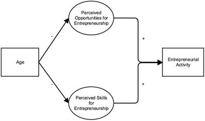 A Lifespan Perspective on Entrepreneurship: Perceived Opportunities and Skills Explain the Negative Association between Age and Entrepreneurial Activity